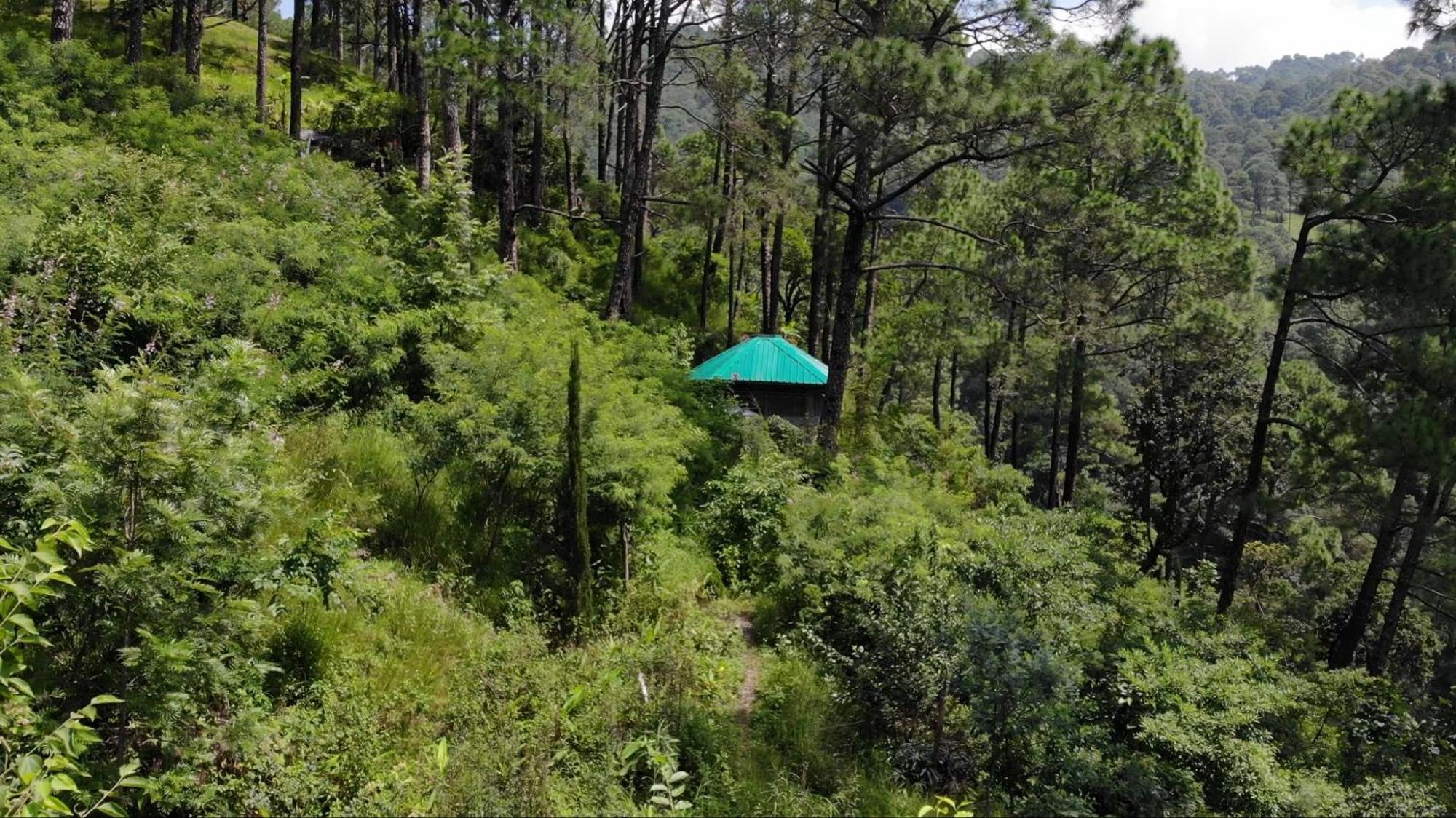 Heal Farm - Himalayan Eco Alternative Lifestyle For Agriculture Recreation And Meditation Naini Tāl Exterior foto